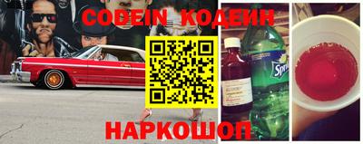 СК Кингисепп
