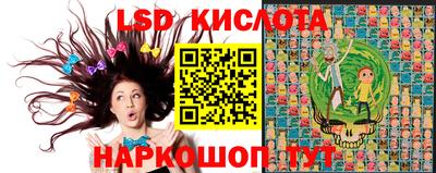 СК Кингисепп