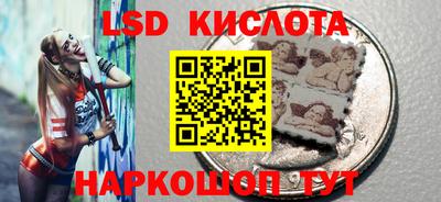 СК Кингисепп