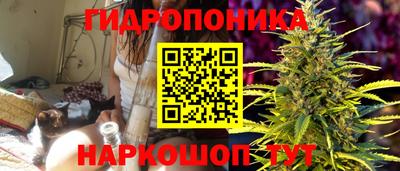 СК Кингисепп