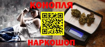 СК Кингисепп