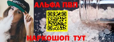 СК Кингисепп