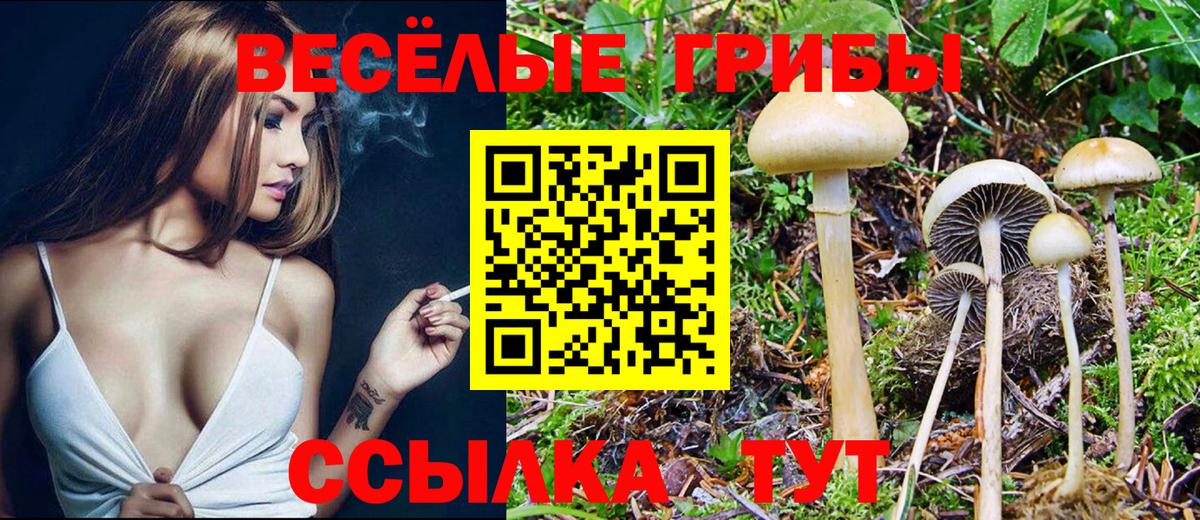 купить   Вход с VPN  Добрянка  Псилоцибиновые грибы мухоморы 